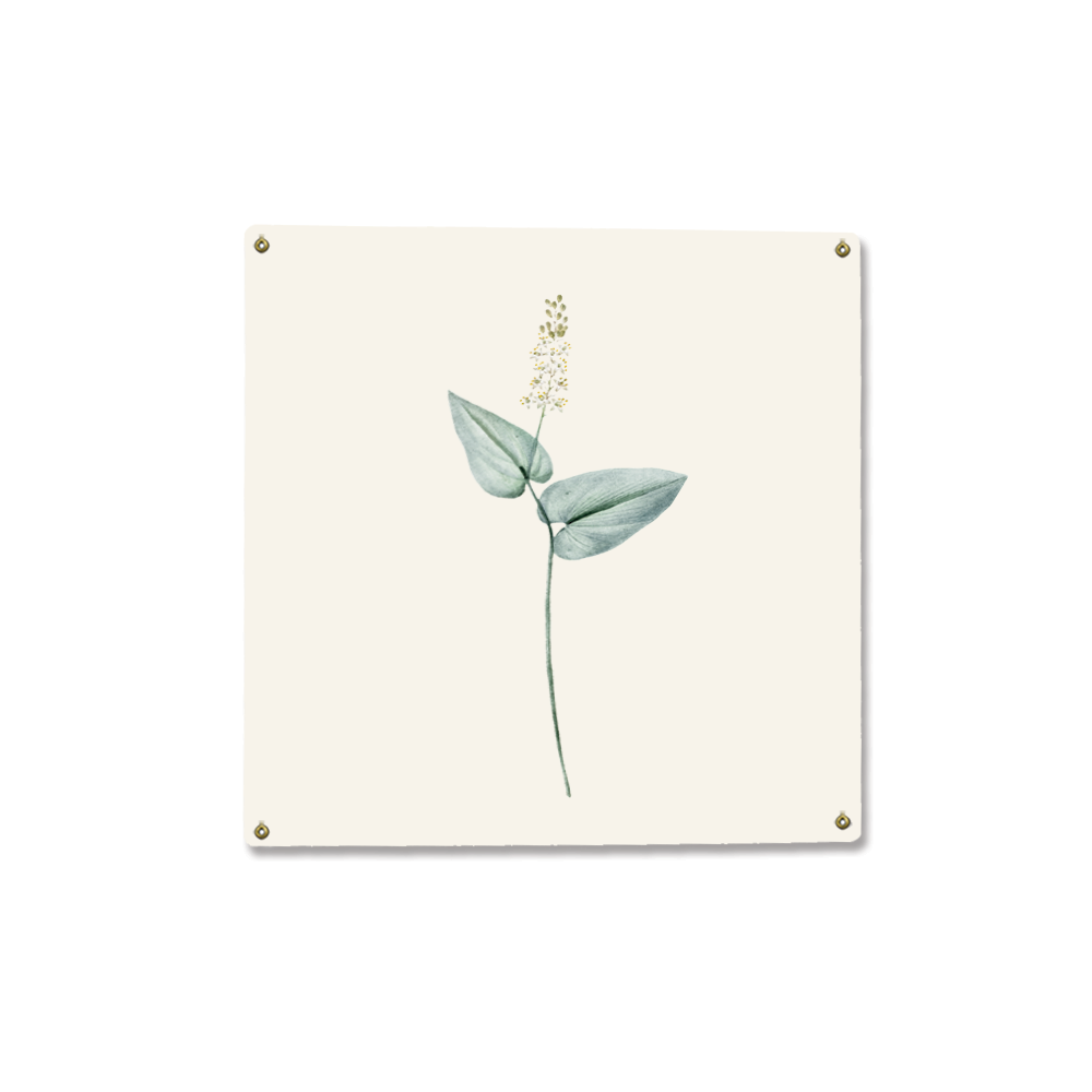 Minimalist Botanical Square Metal Sign